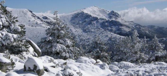 Collarubio - Nieve