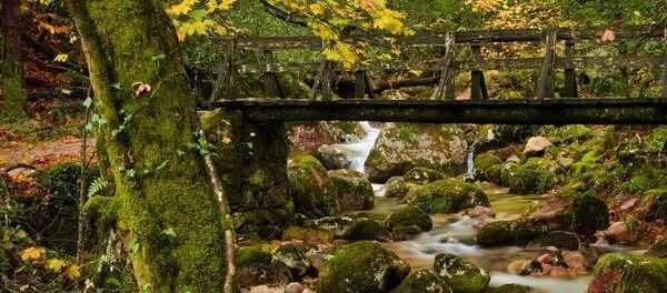 paisaje-turismo-rural-600x264