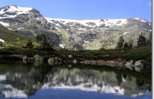 Collarubio - Sierra de Guadarrama