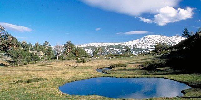 Collarubio - Piscinas Guadarrama