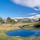 Collarubio - Piscinas Guadarrama