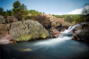 Collarubio - La Pedriza