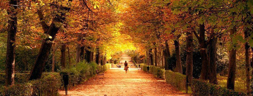 Collarubio - Retiro de Madrid