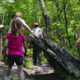 Collarubio - Excursiones con niños - Sierra de Madrid