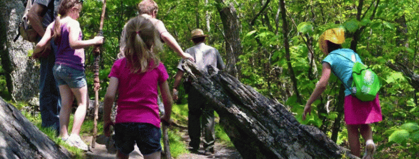 Collarubio - Excursiones con niños - Sierra de Madrid