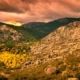 Collarubio - Sierra de Guadarrama