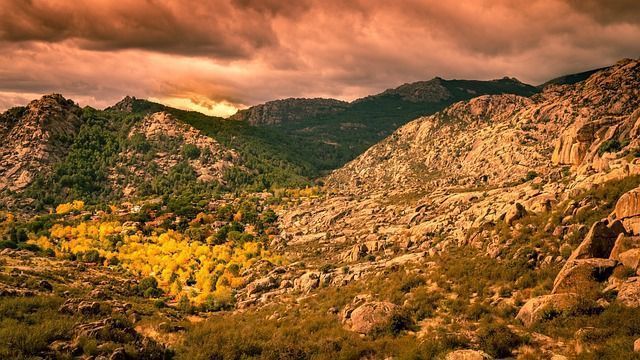 Collarubio - Sierra de Guadarrama