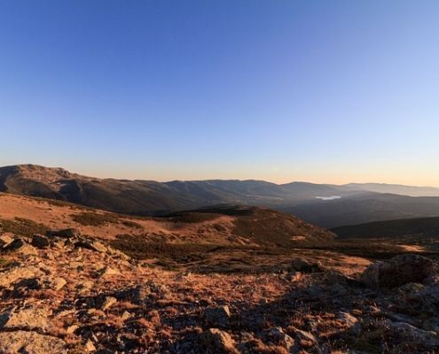 Collarubio - Sierra de Guadarrama