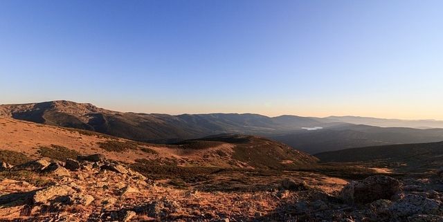 Collarubio - Sierra de Guadarrama