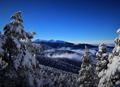Collarubio - Sierra de Guadarrama